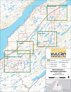 Springdale Au-Cu Zones